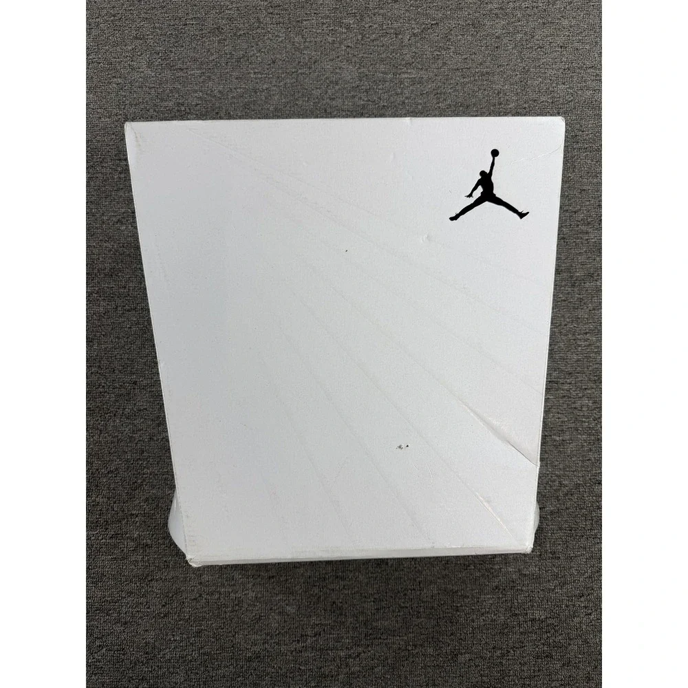 Jordan Air Jordan 2009 Shoes Mens 10.5 White Silver Black Sneakers 343084-161